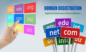 Domain Registration